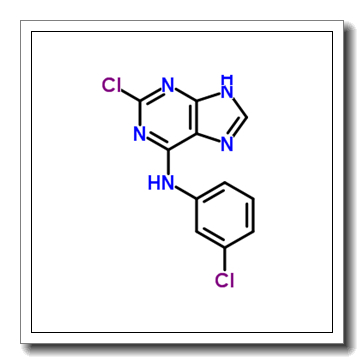 2-Chloro-N-(3-chlorophenyl)-3H-purin-6-amine
