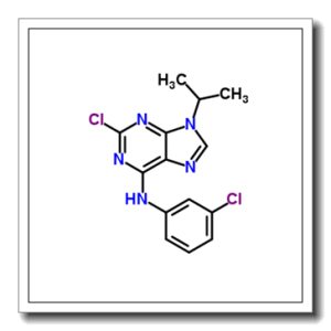 2-chloro-N-(3-chlorophenyl)-9-isopropyl-purin-6-amine