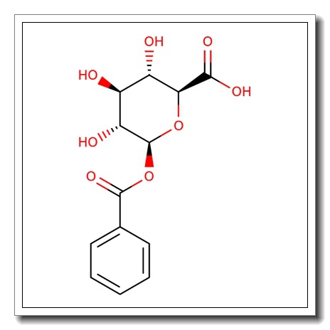 Benzoic acid-acyl-b-D-glucuronide