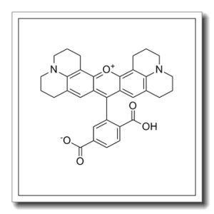 6-羧基-X-罗丹明