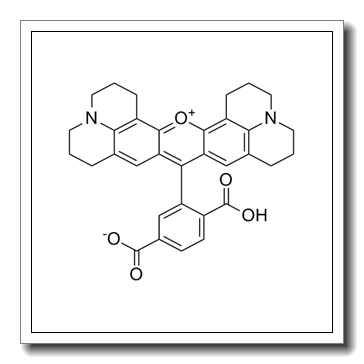 6-羧基-X-罗丹明