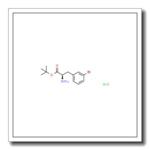 (R)-2-氨基-3-(3-溴苯基)丙酸叔丁酯盐酸盐