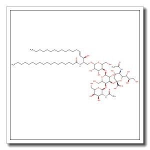 GM2-Ganglioside