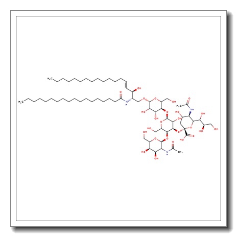 GM2-Ganglioside