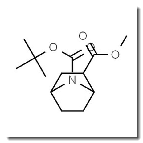 2-Methyl 7-(2-methyl-2-propanyl) 7-azabicyclo[2.2.1]heptane-2,7-dicarboxylate