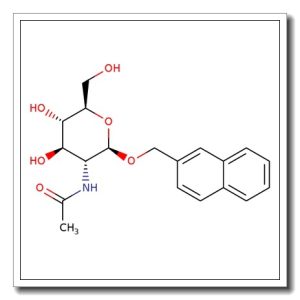 2-Naphthylmethyl 2-acetamido-2-deoxy-b-D-glucopyranoside