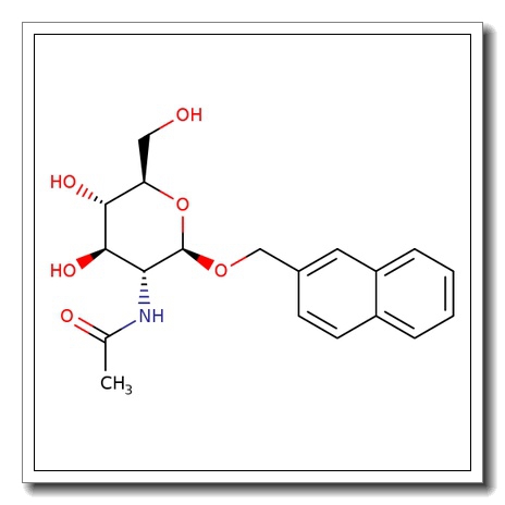 2-Naphthylmethyl 2-acetamido-2-deoxy-b-D-glucopyranoside