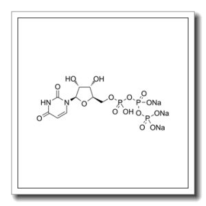 尿苷-5′-三磷酸三钠盐
