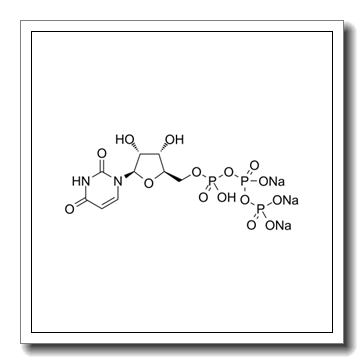 尿苷-5′-三磷酸三钠盐