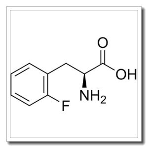 L-2-氟苯丙氨酸