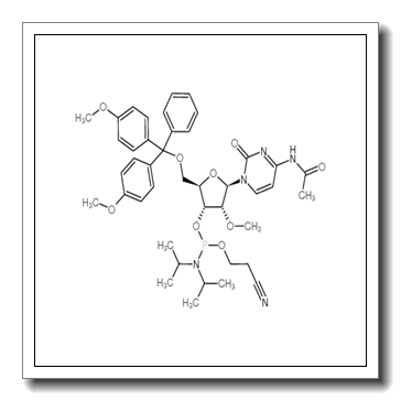 DMT-2′O-Methyl-rC(ac) Phosphoramidite CAS 199593-09-4
