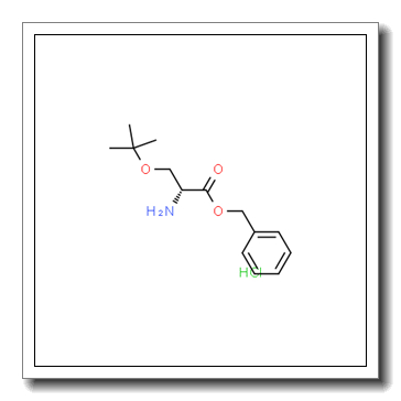 (R)-苄基-2-氨基-3-(叔丁氧基)丙酸甲酯盐酸盐