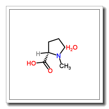 (2S)-1-methylpyrrolidine-2-carboxylic acid,hydrate CAS 199917-42-5