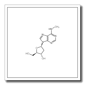 (2R,3S,5R)-2-(hydroxymethyl)-5-[6-(methylamino)purin-9-yl]oxolan-3-ol CAS 2002-35-9
