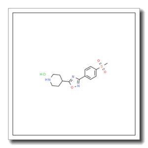3-(4-甲砜基苯基)-5-(4-哌啶基)-1,2,4-噁二唑盐酸盐