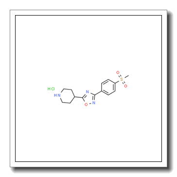 3-[4-(Methylsulfonyl)phenyl]-5-(4-piperidyl)-1,2,4-oxadiazole Hydrochloride CAS 2006277-44-5