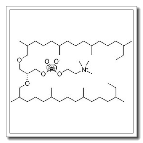 1,2-DI-O-PHYTANYL-SN-GLYCERO-3-PHOSPHOCHOLINE CAS 200715-69-1 