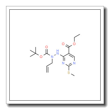 Ethyl 4-(2-allyl-2-(tert-butoxycarbonyl)hydrazinyl)-2-(methylthio)pyrimidine-5-carboxylate CAS 2007908-48-5