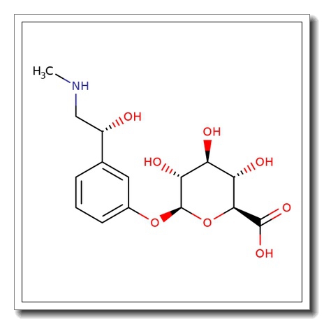 Phenylephrine-D-glucuronide