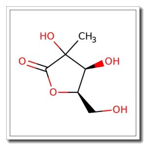 2-C-Methyl-D-arabono-1,4-lactone