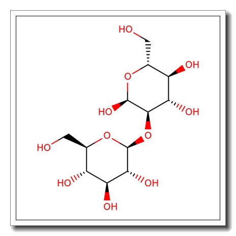 a-Sophorose hydrate