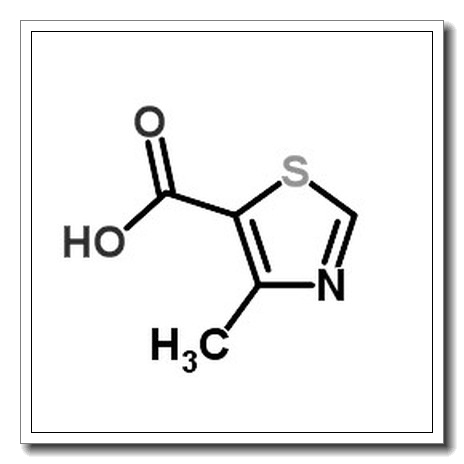 4-methyl-1,3-thiazole-5-carboxylic acid CAS 20485-41-0 
