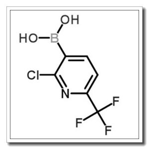 2-氯-6-三氟甲基吡啶-3-硼酸