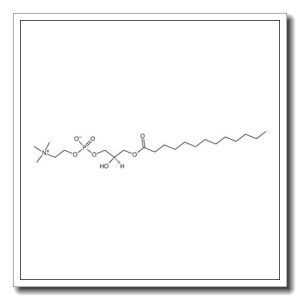 L-α-monotridecanoyl lysophosphatidyl choline