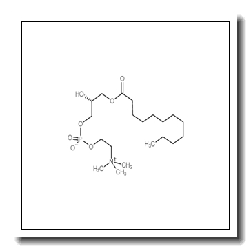 1-LAUROYL-2-HYDROXY-SN-GLYCERO-3-PHOSPHOCHOLINE