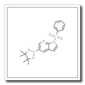 N-苯磺酰基-7-氮杂吲哚-5-硼酸频哪酯