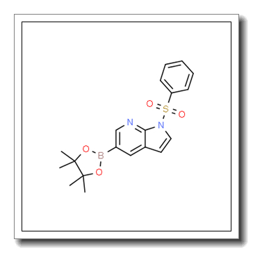 1-(phenylsulfonyl)-5-(4,4,5,5-tetramethyl-1,3,2-dioxaborolan-2-yl)-1H-pyrrolo[2,3-b]pyridine CAS 2058052-40-5