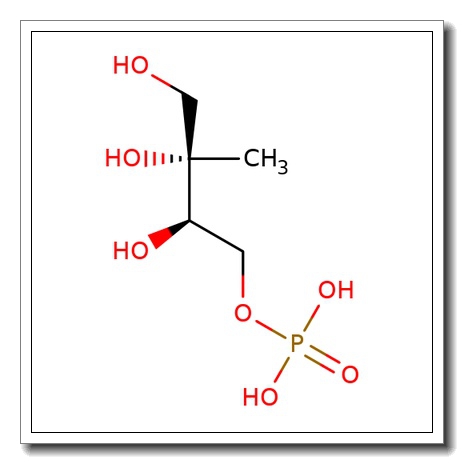2-C-Methyl-D-erythritol 4-phosphate