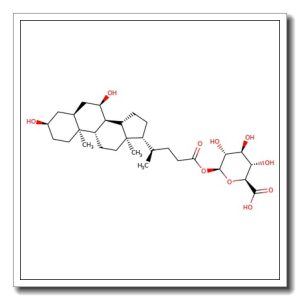 Chitin