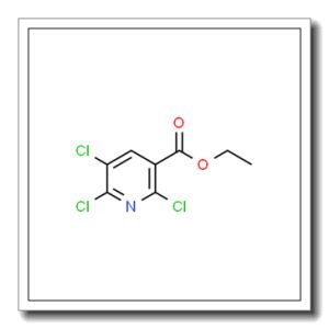 Ethyl 2,5,6-trichloronicotinate