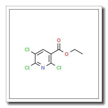 Ethyl 2,5,6-trichloronicotinate CAS 2089325-36-8