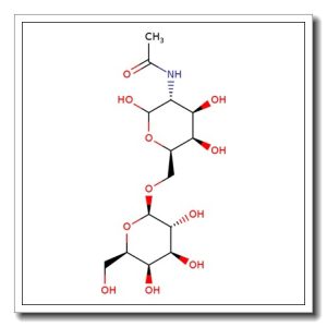 2-Acetamido-2-deoxy-6-O-(b-D-galactopyranosyl)-D-galactopyranose