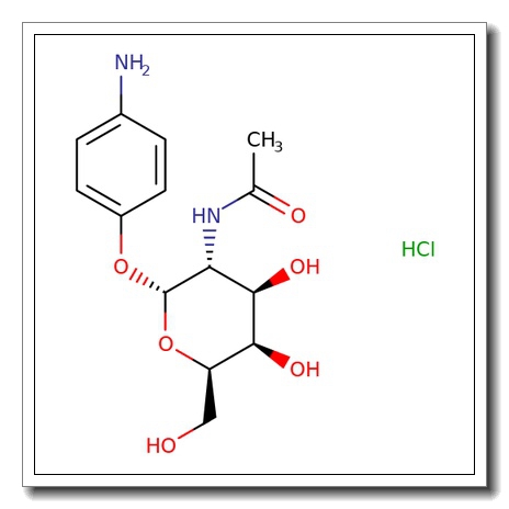 4-Aminophenyl 2-acetamido-2-deoxy-a-D-galactopyranoside HCl
