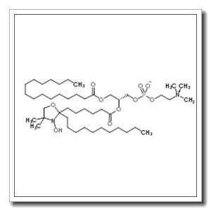 (2R)-2-{[6-(3-Hydroxy-4,4-dimethyl-2-undecyl-1,3-oxazolidin-2-yl)hexanoyl]oxy}-3-(palmitoyloxy)propyl 2-(trimethylammonio)ethyl phosphate