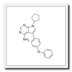 RK-24466