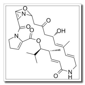 蛎灰菌素A