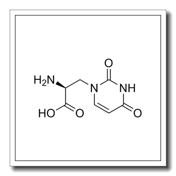 (S)-Willardiine