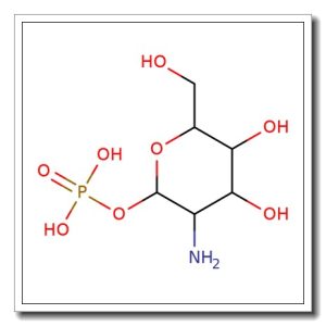 α-D-Glucosamine 1-phosphate