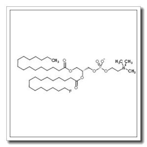 (2R)-2-[(16-Fluorohexadecanoyl)oxy]-3-(palmitoyloxy)propyl 2-(trimethylammonio)ethyl phosphate