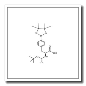 Boc-4-频哪醇硼酸酯-L-苯丙氨酸