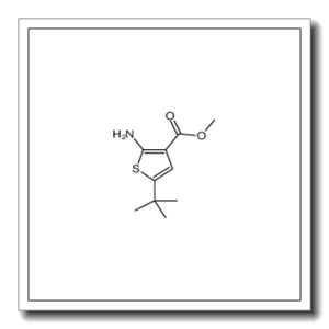 2-氨基-5-(叔丁基)噻吩-3-羧酸甲酯