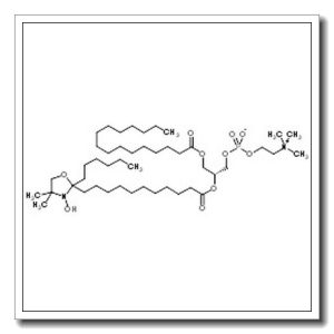 (2R)-2-{[11-(2-Hexyl-3-hydroxy-4,4-dimethyl-1,3-oxazolidin-2-yl)undecanoyl]oxy}-3-(palmitoyloxy)propyl 2-(trimethylammonio)ethyl phosphate