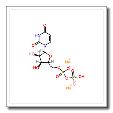 Uridine 5,-Diphosphate Sodium Salt CAS 21931-53-3