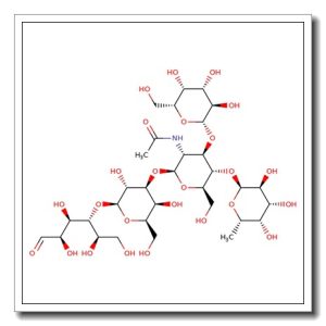 Lacto-N-fucopentaose II-GEL