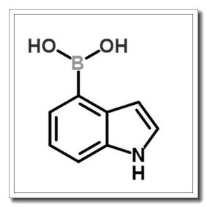 吲哚-4-硼酸