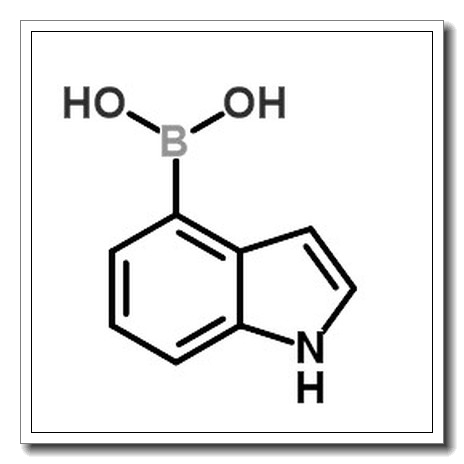 吲哚-4-硼酸